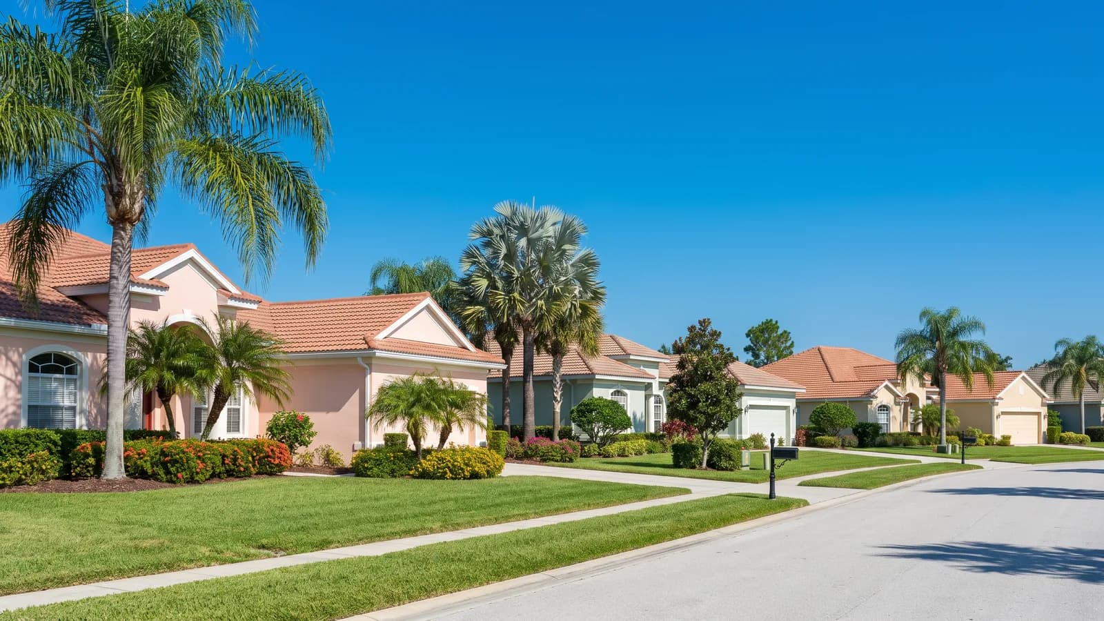 A residential neighborhood of single-family homes in Orlando, Florida with palms and blue sky in daylight.