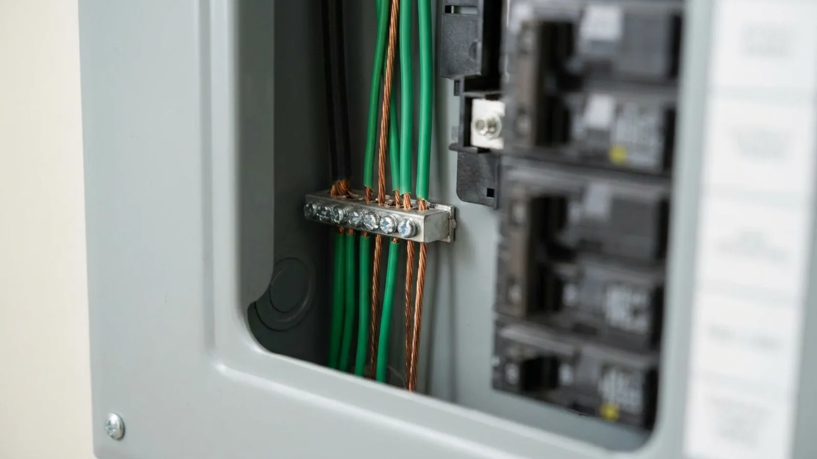 A grounded 200-amp residential service panel with organized wiring in Florida